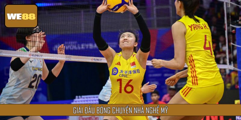 Giải đấu bóng chuyền quốc tế Nhà Nghề Mỹ