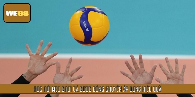 Học hỏi mẹo chơi cá cược bóng chuyền áp dụng hiệu quả