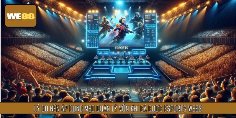Những lý do nên áp dụng mẹo quản lý vốn khi cá kèo