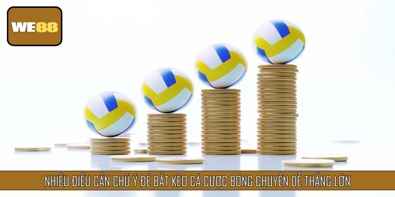 Nhiều điều cần chú ý để bắt kèo cá cược bóng chuyền dễ thắng lớn
