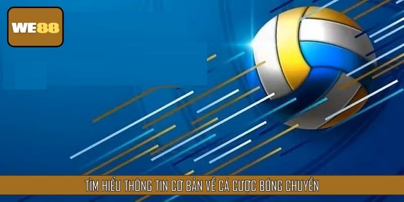 Tìm hiểu thông tin cơ bản về cá cược bóng chuyền