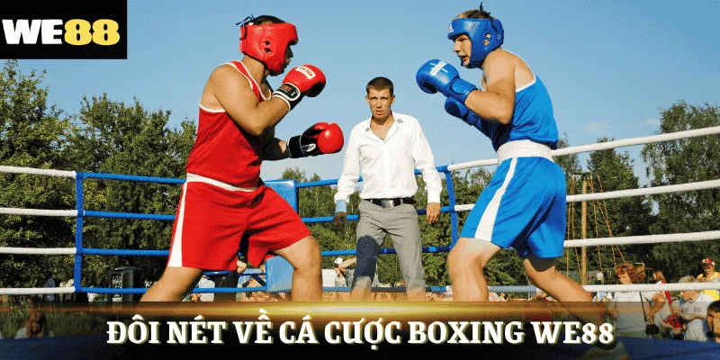 Boxing môn thể thao được quan tâm nhất 2025