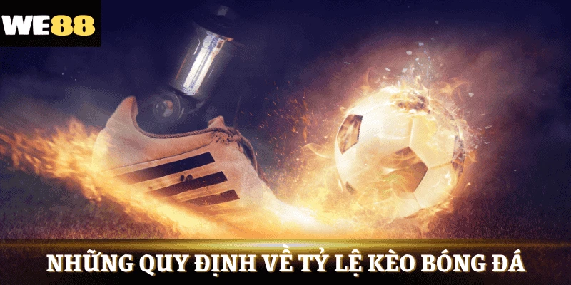 Những quy định cần thiết về tỷ lệ kèo
