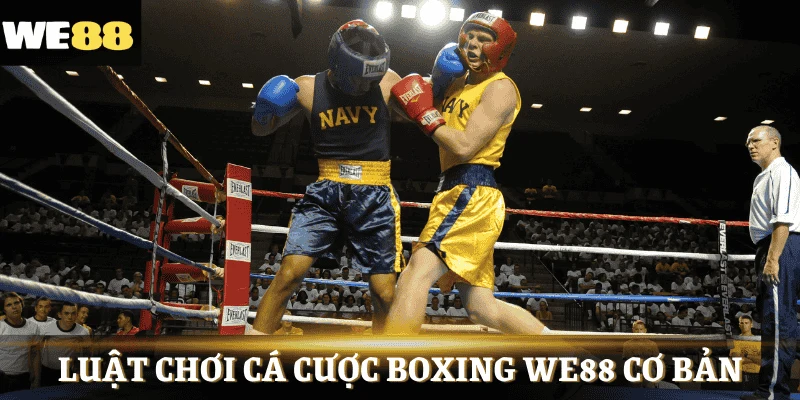 Thành viên cần hiểu tường tận luật Boxing WE88